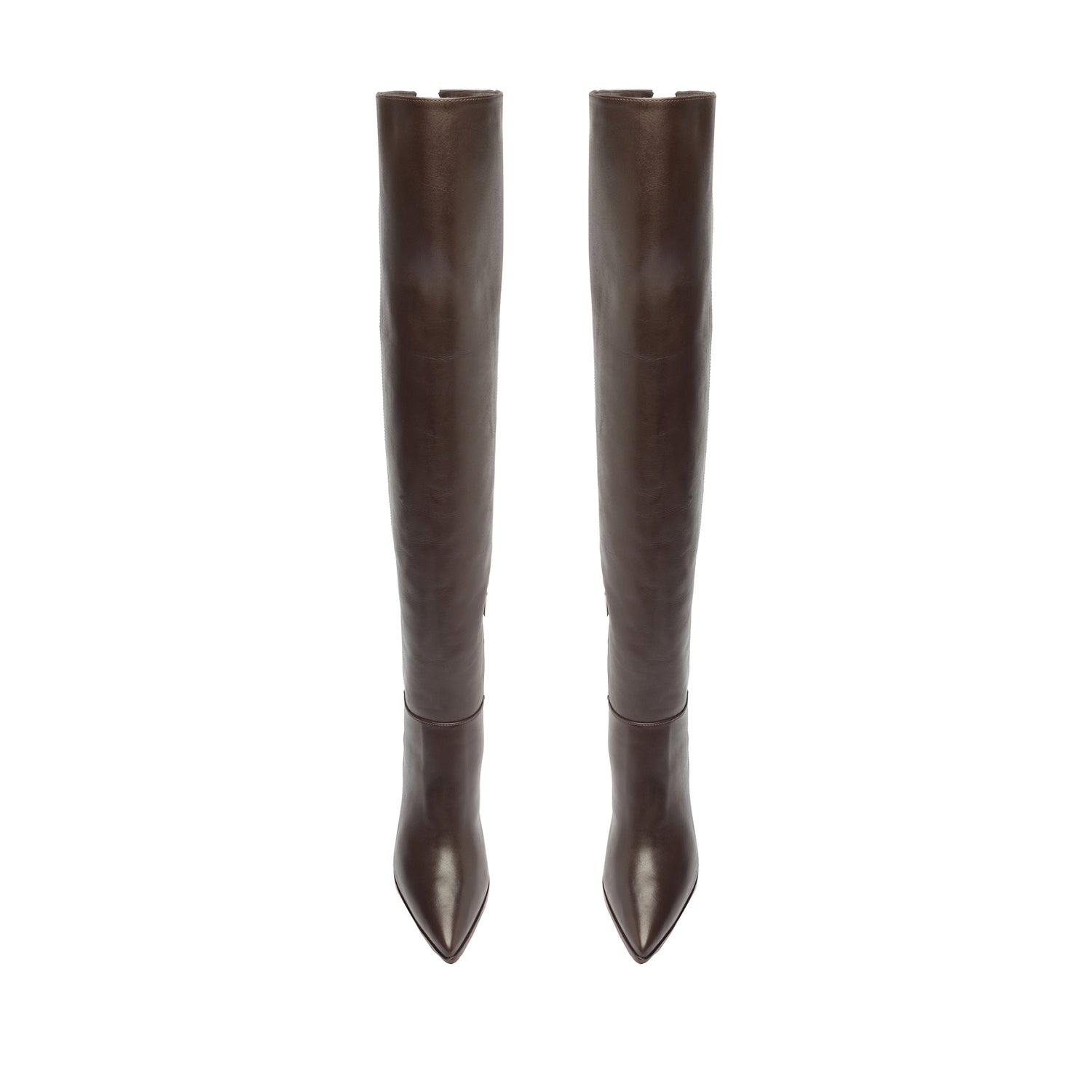 Mikki Block Over the Knee Leather Boot Boots FALL 23    - Schutz Shoes