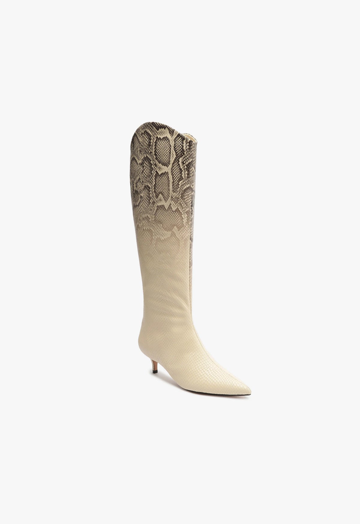 Maryana Lo Snake Faded Boot – SCHUTZ