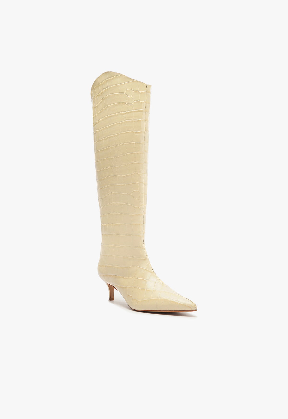 Maryana Lo Wide Boot Fall 24 - Schutz Shoes