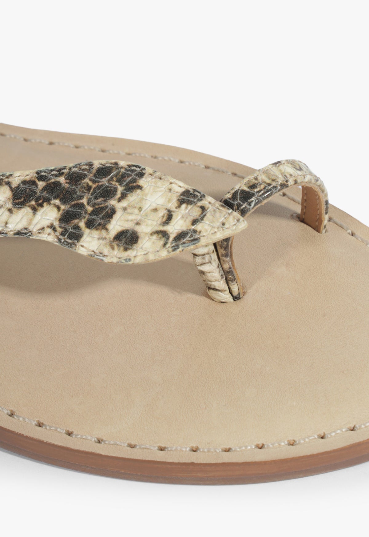 Cleo Snake Sandal - Schutz Shoes