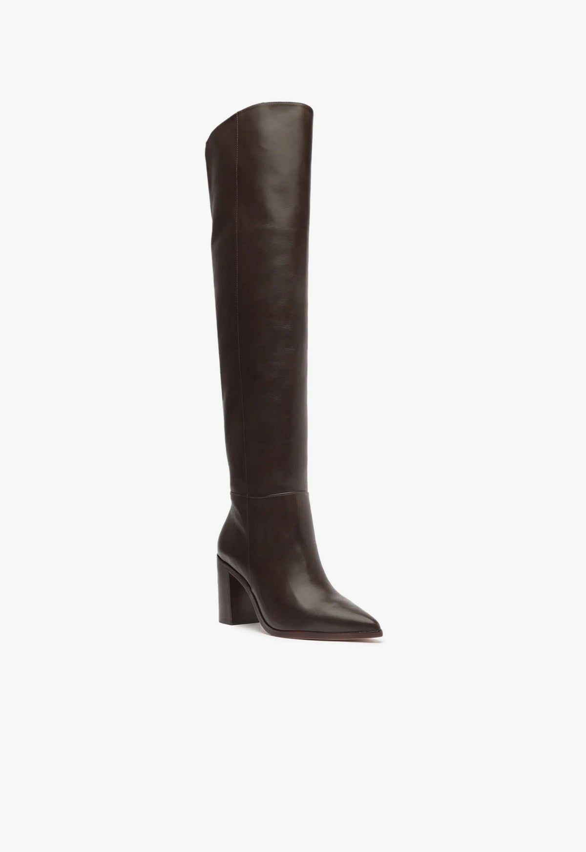 Magali Block Over the Knee Leather Boot FALL 23 - Schutz Shoes