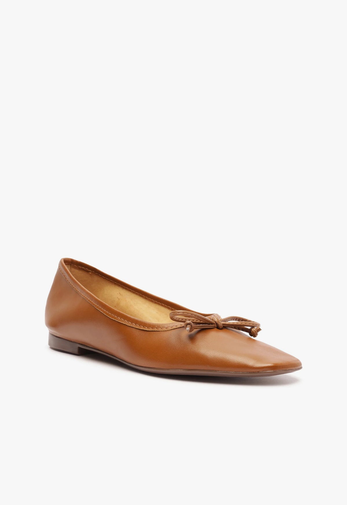 Arissa Ballerina Flat SPRING 24 - Schutz Shoes