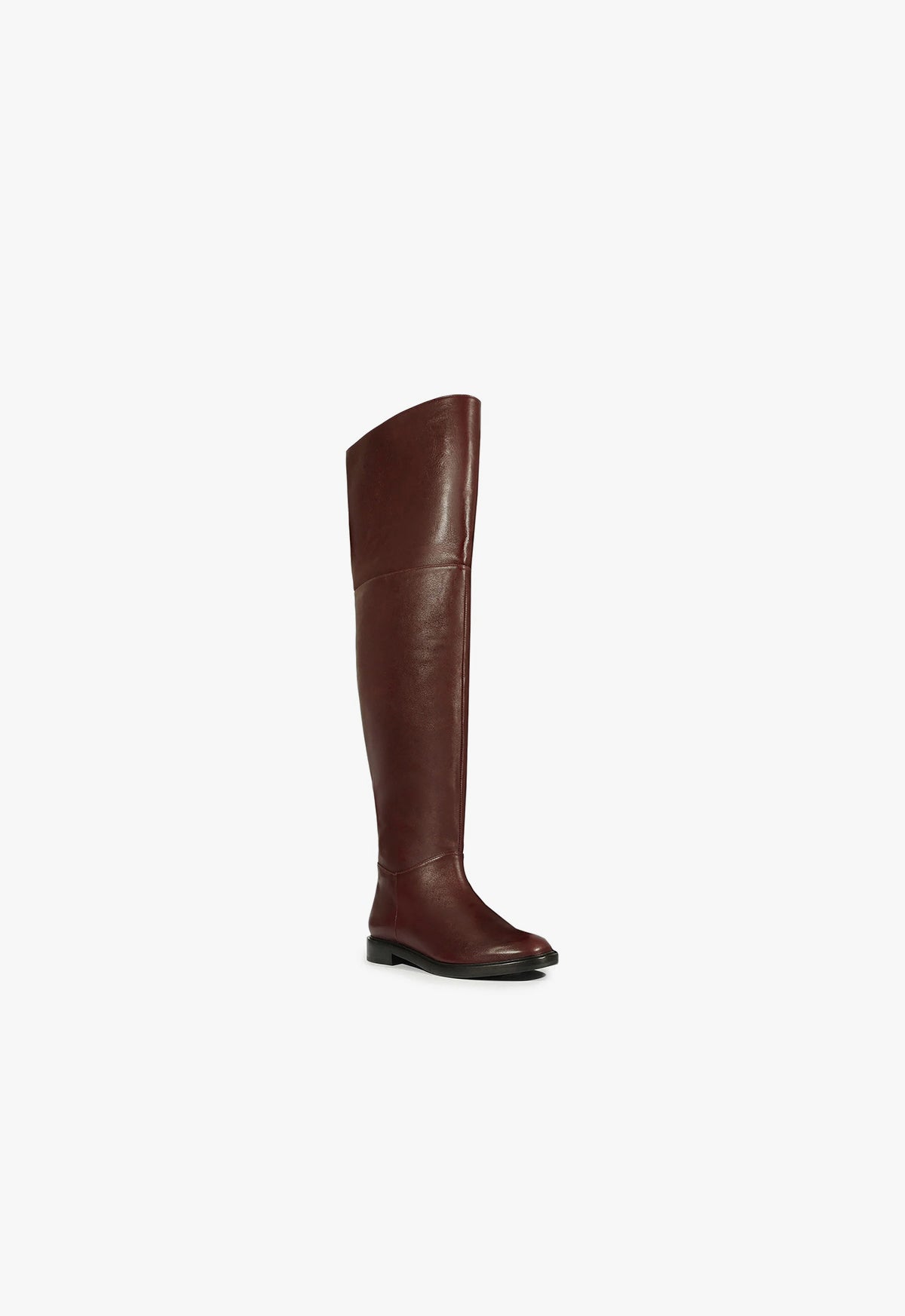 Terrance Over the Knee Boot Fall 24 - Schutz Shoes