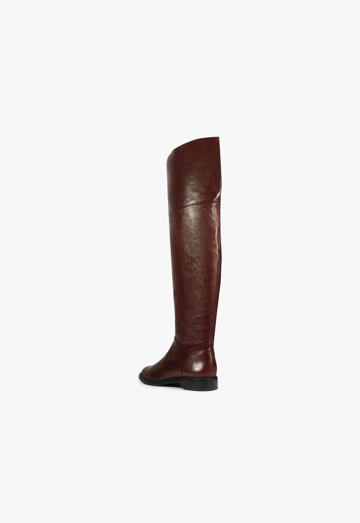 Terrance Over the Knee Boot Fall 24 - Schutz Shoes