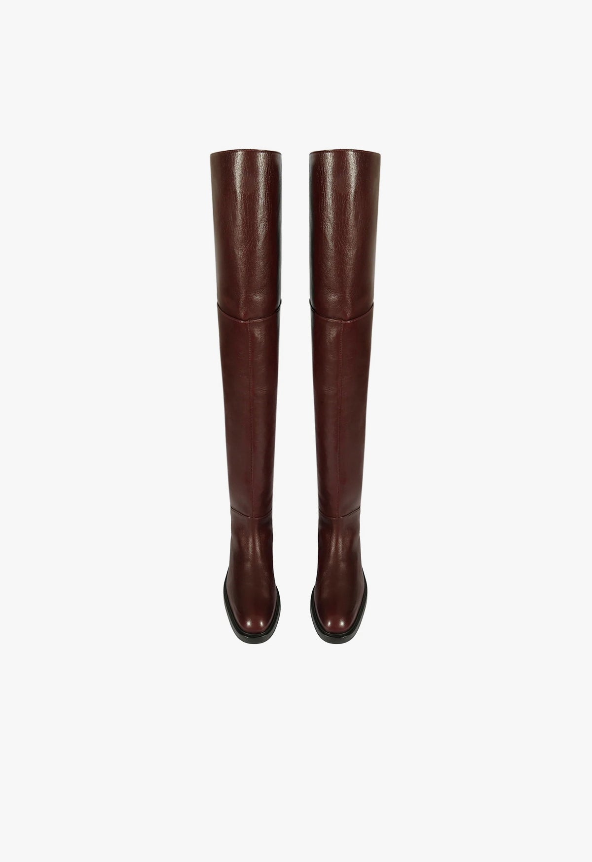 Terrance Over the Knee Boot Boots Fall 24    - Schutz Shoes