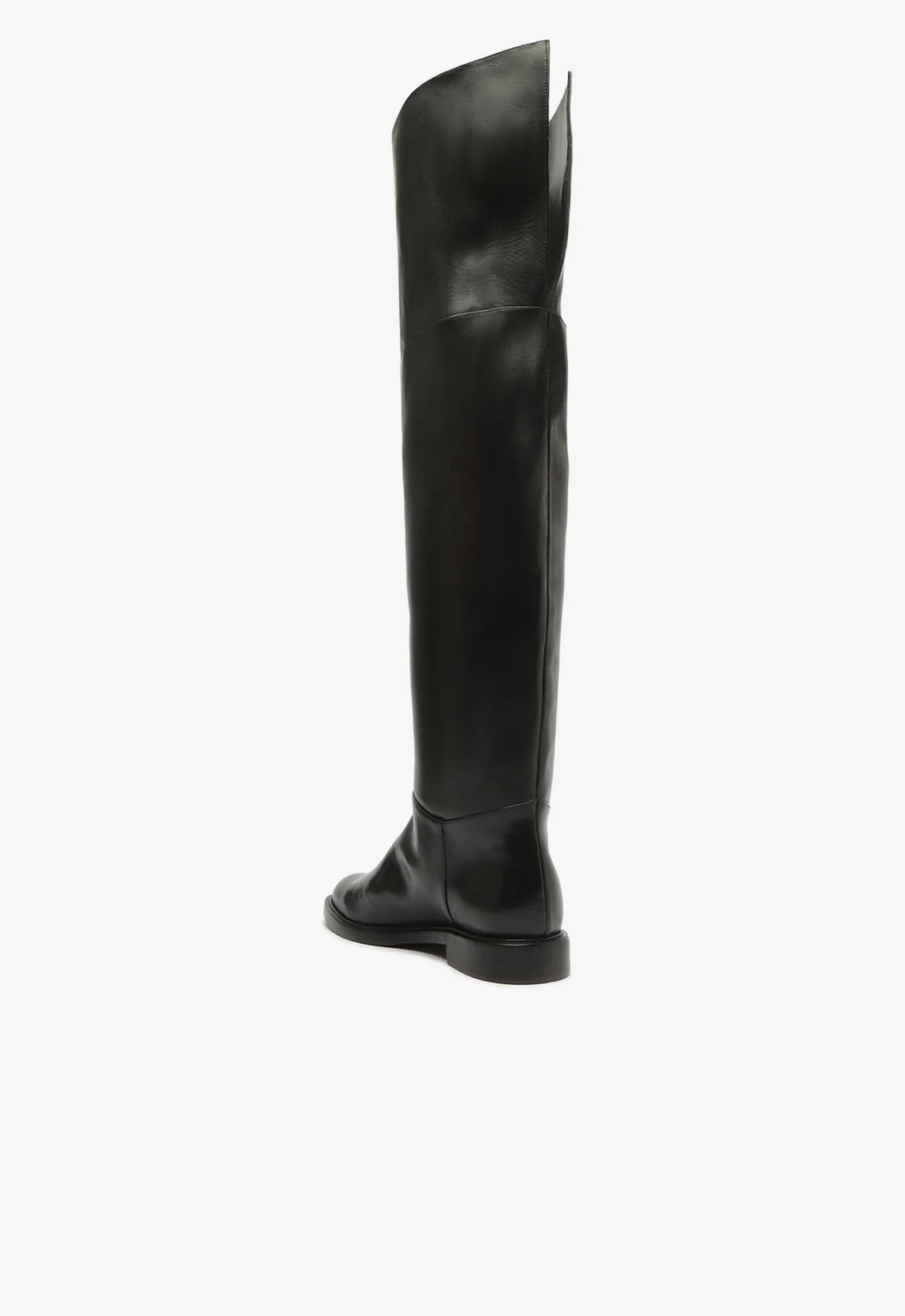 Terrance Over the Knee Boot Fall 24 - Schutz Shoes