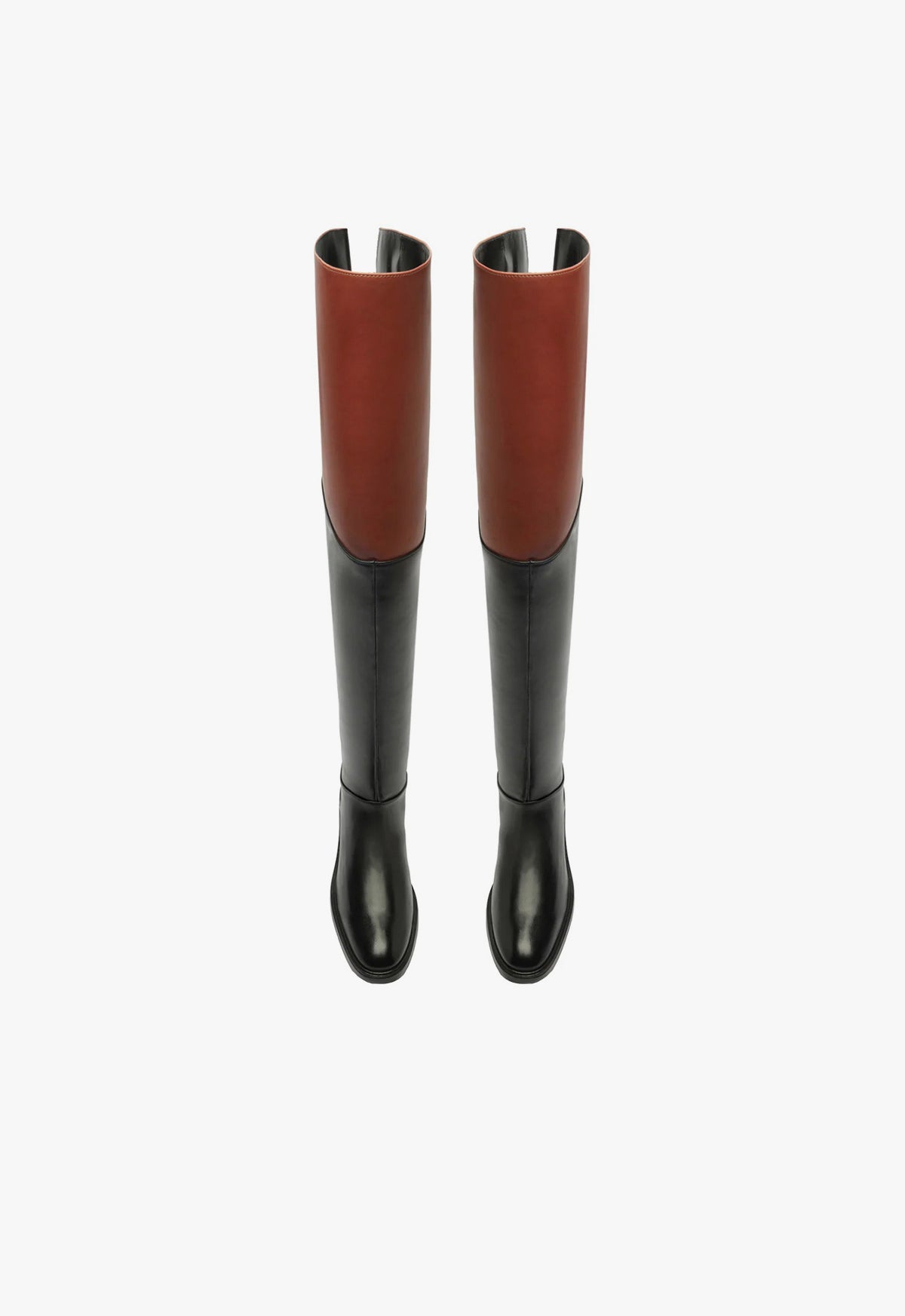 Terrance Over the Knee Boot Fall 24 - Schutz Shoes