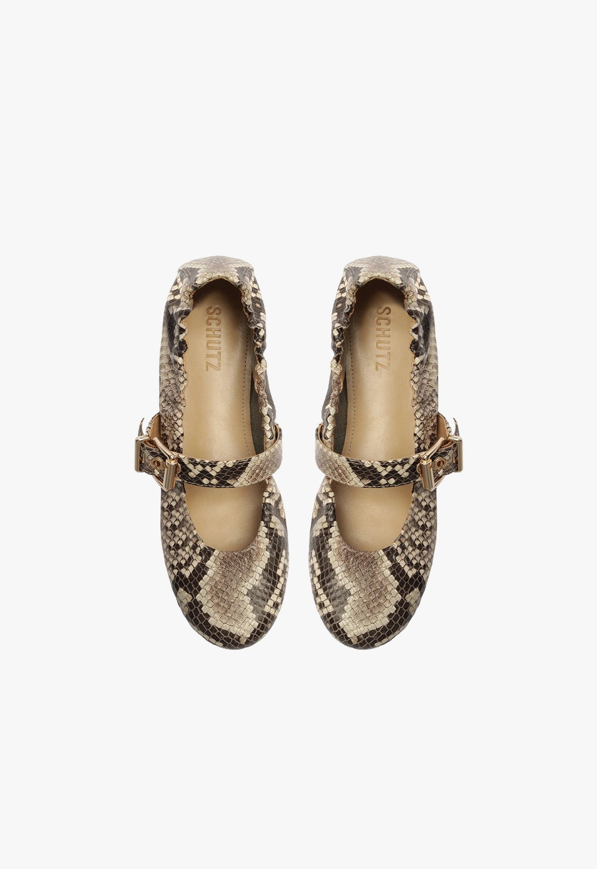 Calita Snake-Embossed Leather Flat Flats FALL 23    - Schutz Shoes