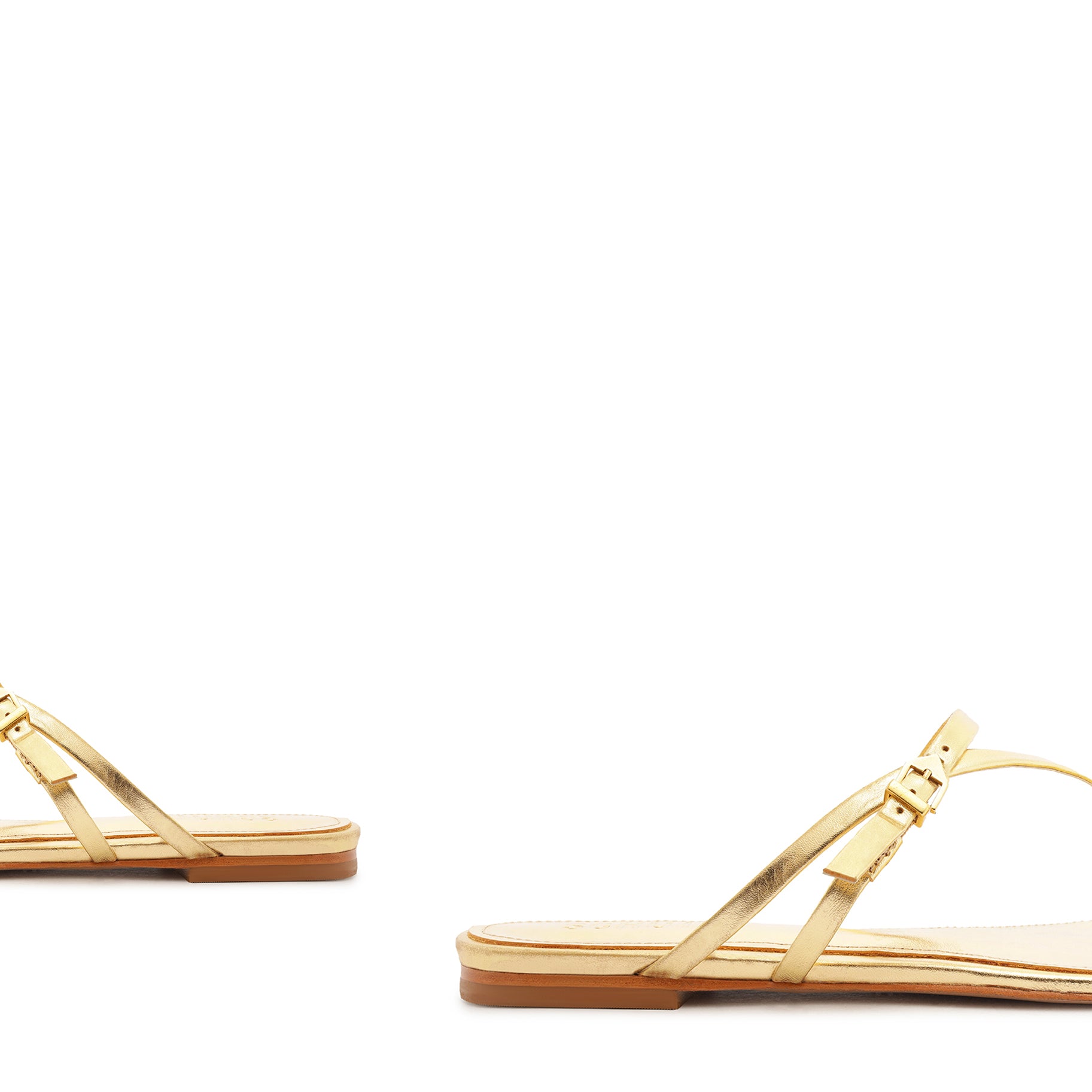 Elysa Leather Sandal Flats SPRING 24    - Schutz Shoes