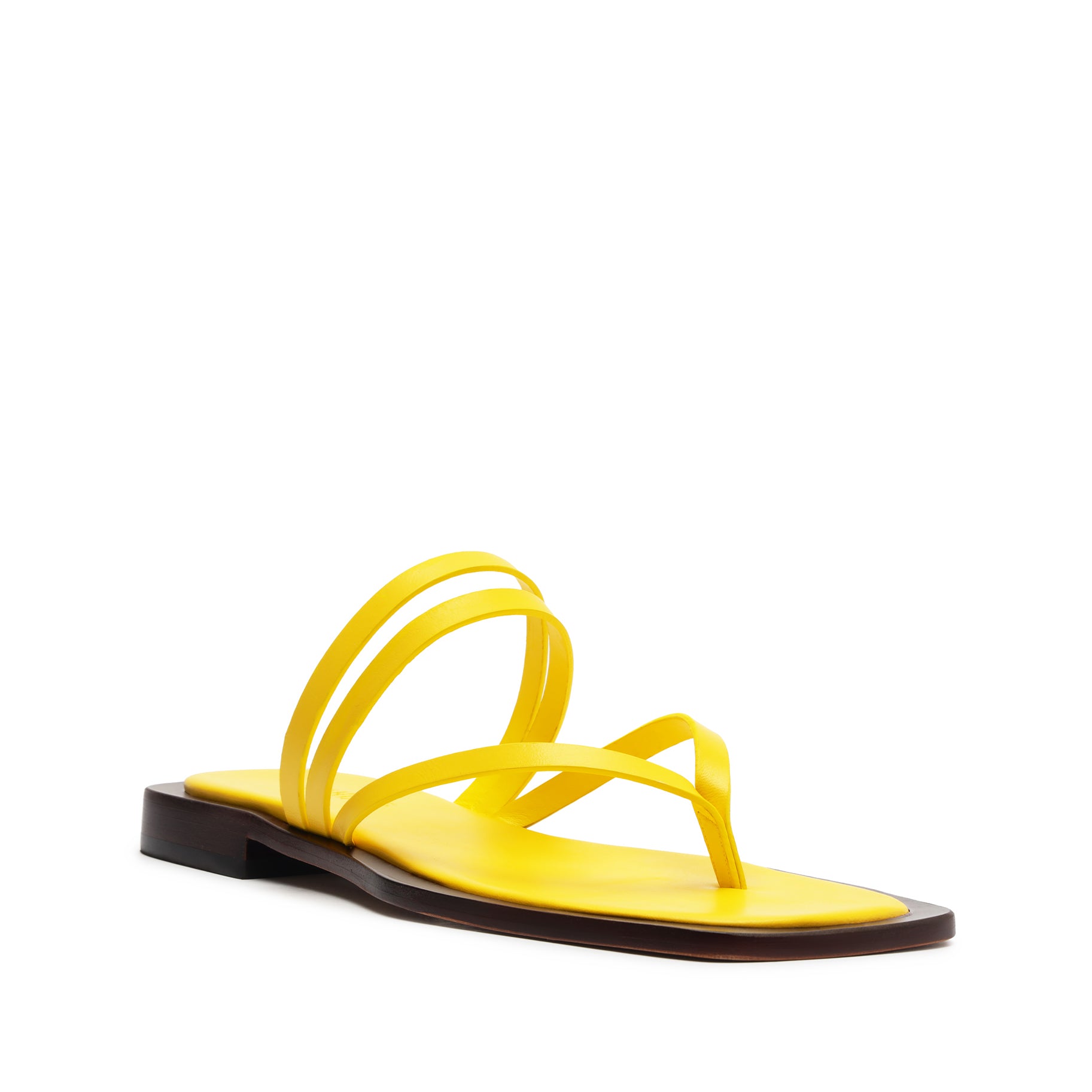 Rania Leather Flat Sandal Flats High Summer 24    - Schutz Shoes