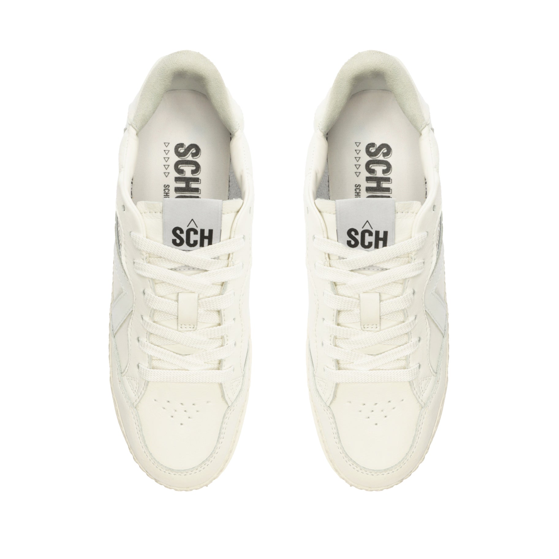 ST-BOLD Leather Sneaker CO - Schutz Shoes