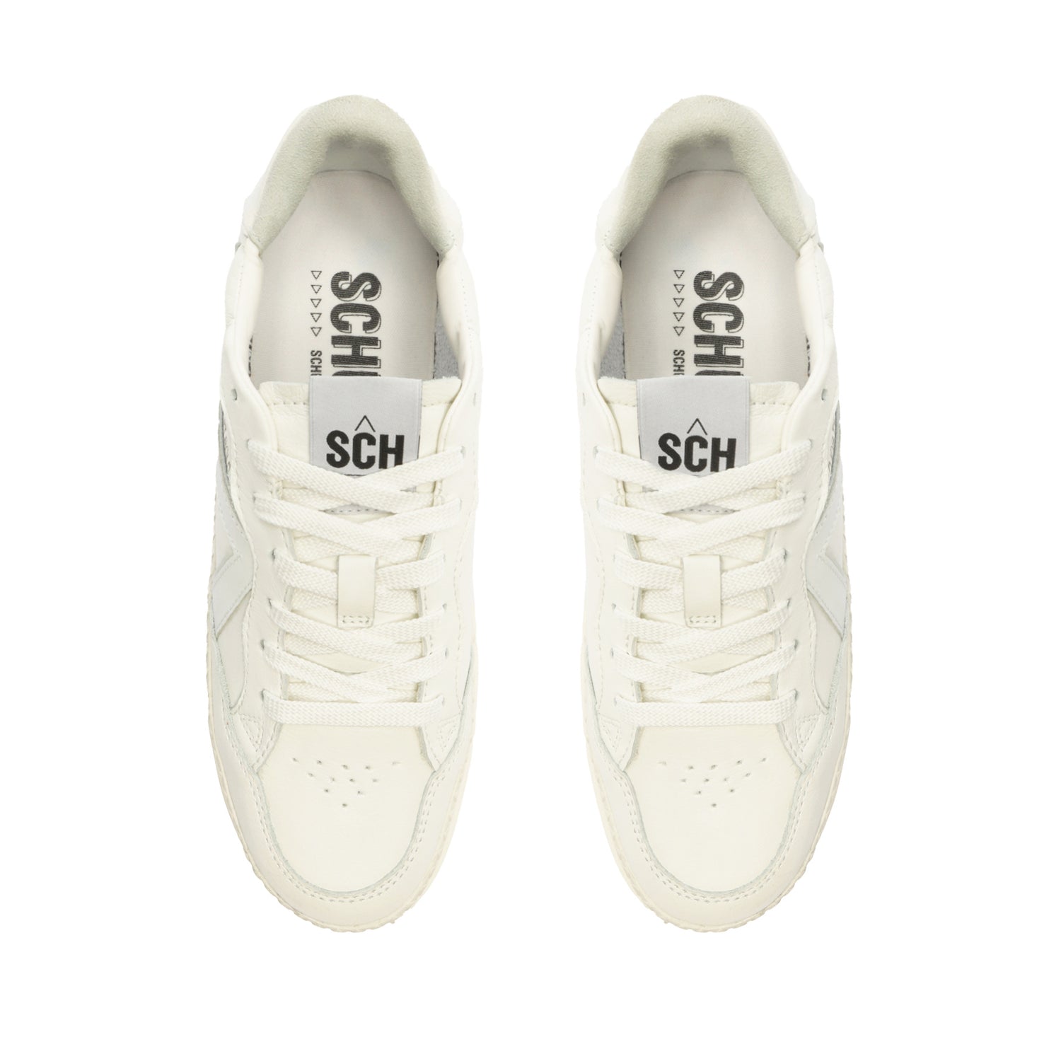 ST-BOLD Leather Sneaker Sneakers Spring 24    - Schutz Shoes