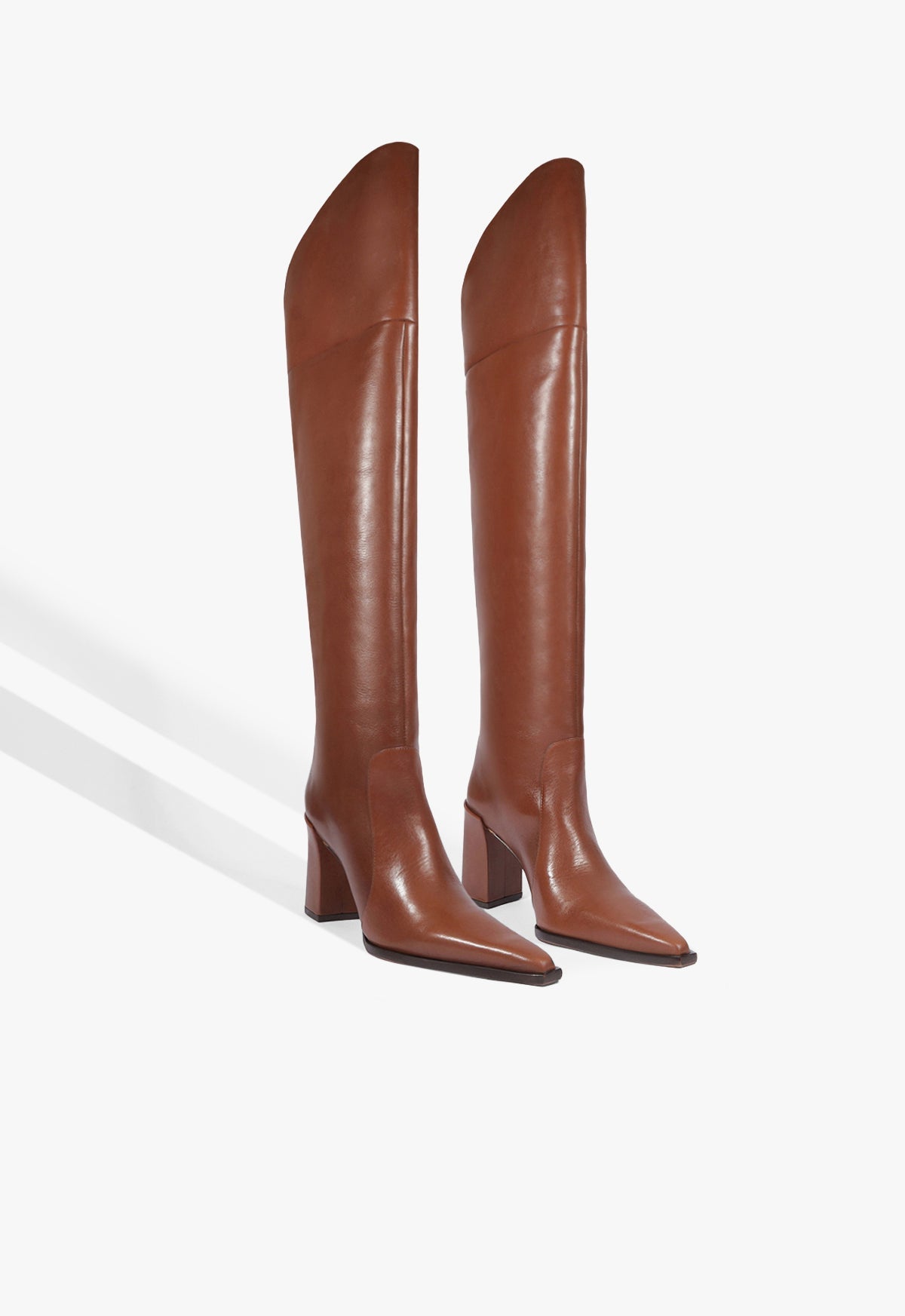 Raffaela OTK Leather Boot - Schutz Shoes