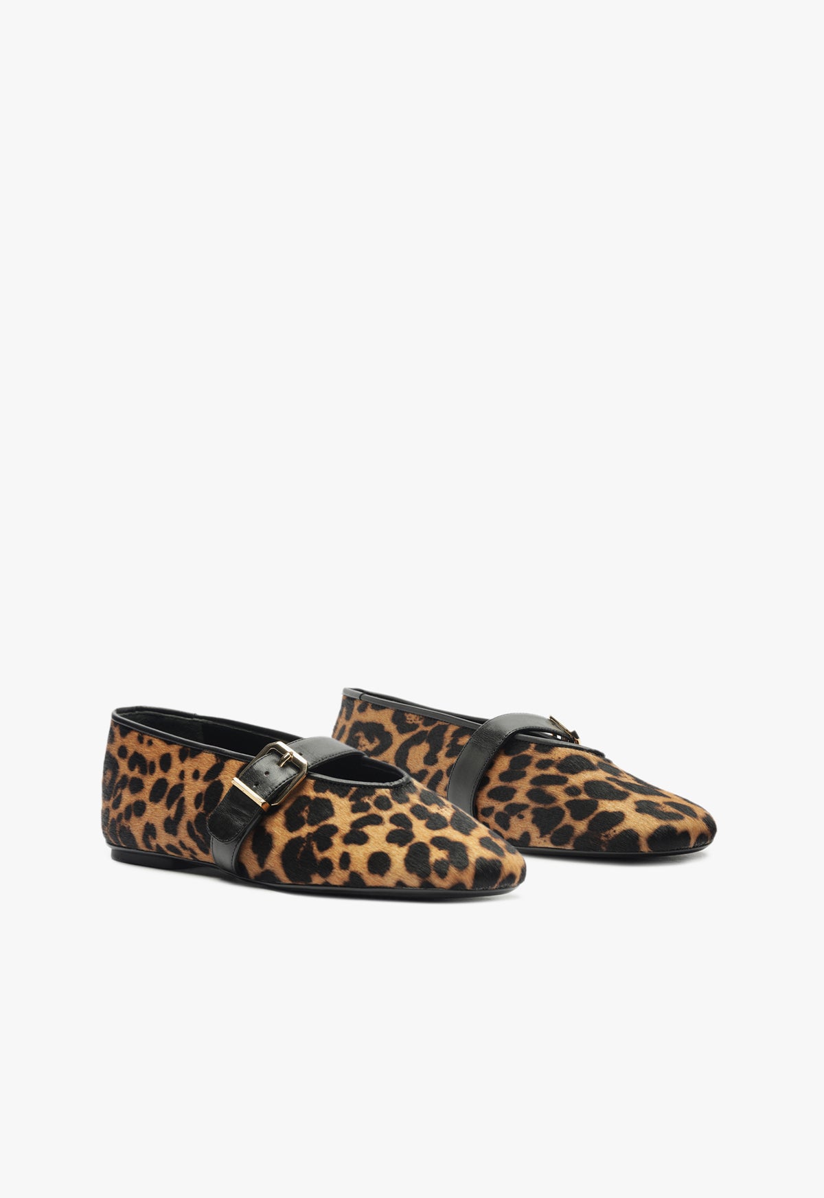 Eiza Wild Ballet Flat Flats Winter 24    - Schutz Shoes