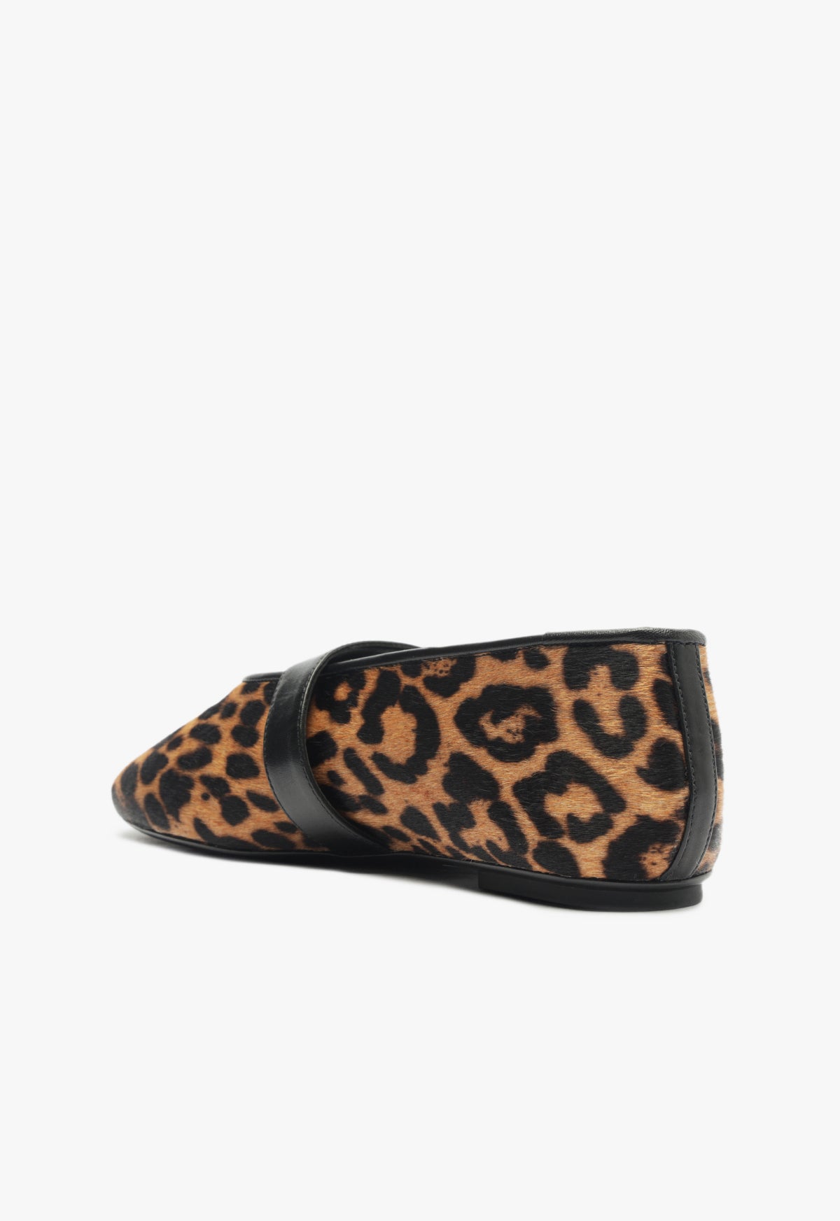 Eiza Wild Ballet Flat Flats Winter 24    - Schutz Shoes