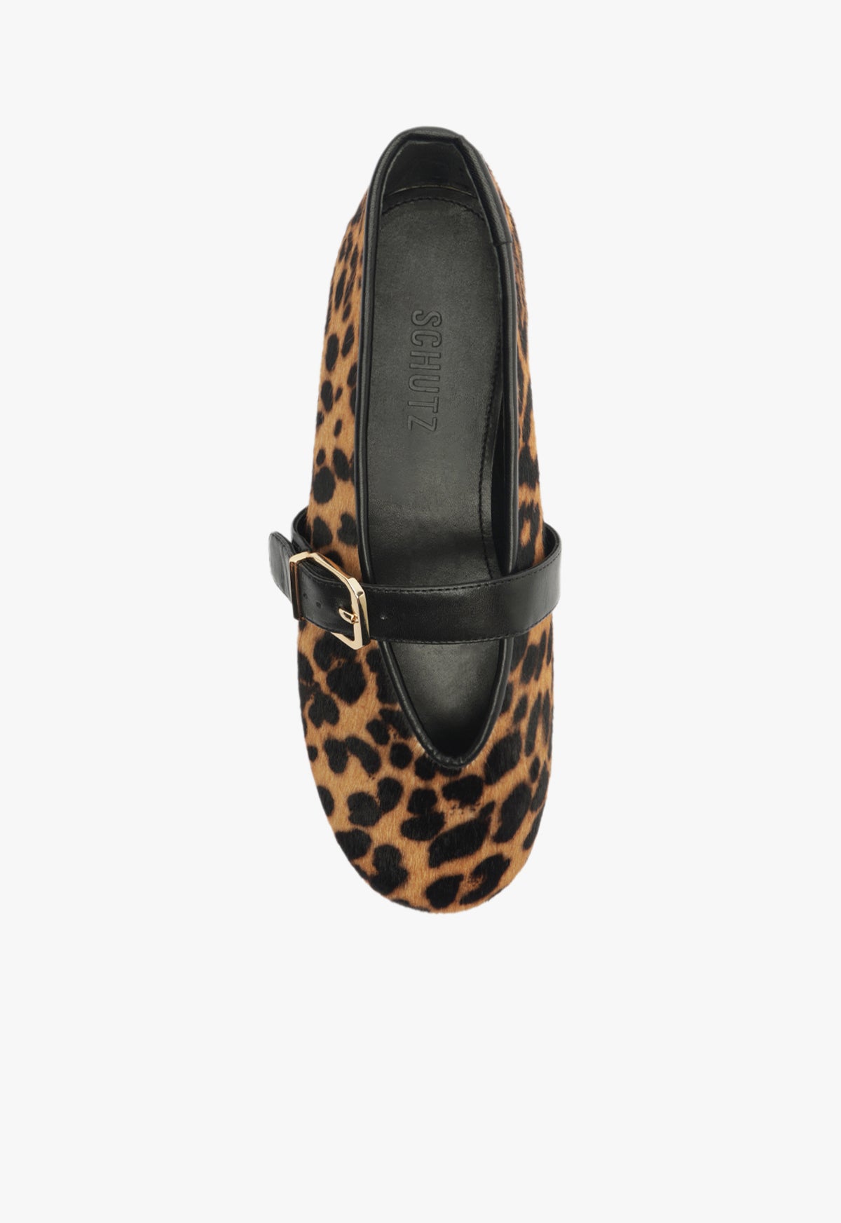 Eiza Wild Ballet Flat Flats Winter 24    - Schutz Shoes