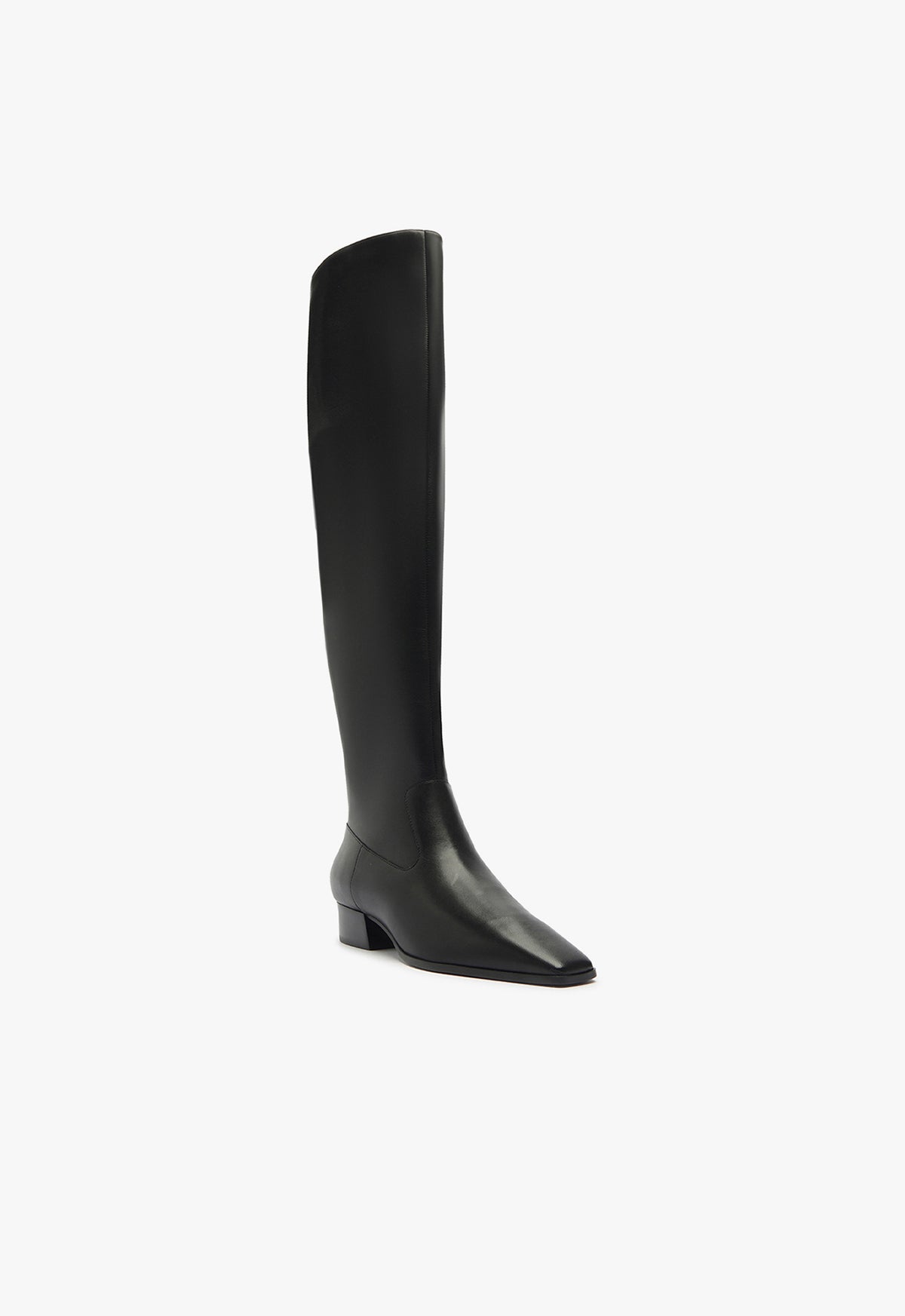 Helena Over the Knee Boot Fall 24 - Schutz Shoes