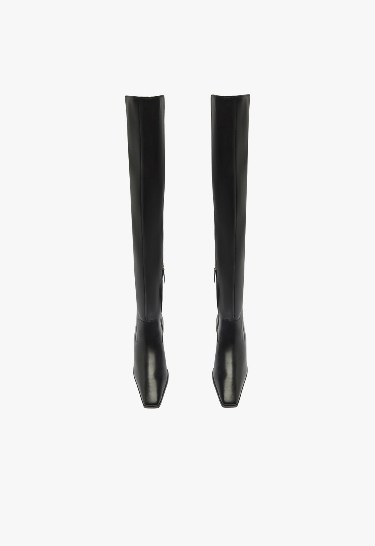 Helena Over the Knee Boot Fall 24 - Schutz Shoes