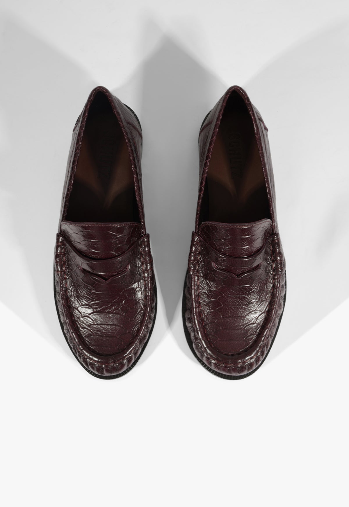 Tyche Flat Winter 25 - Schutz Shoes