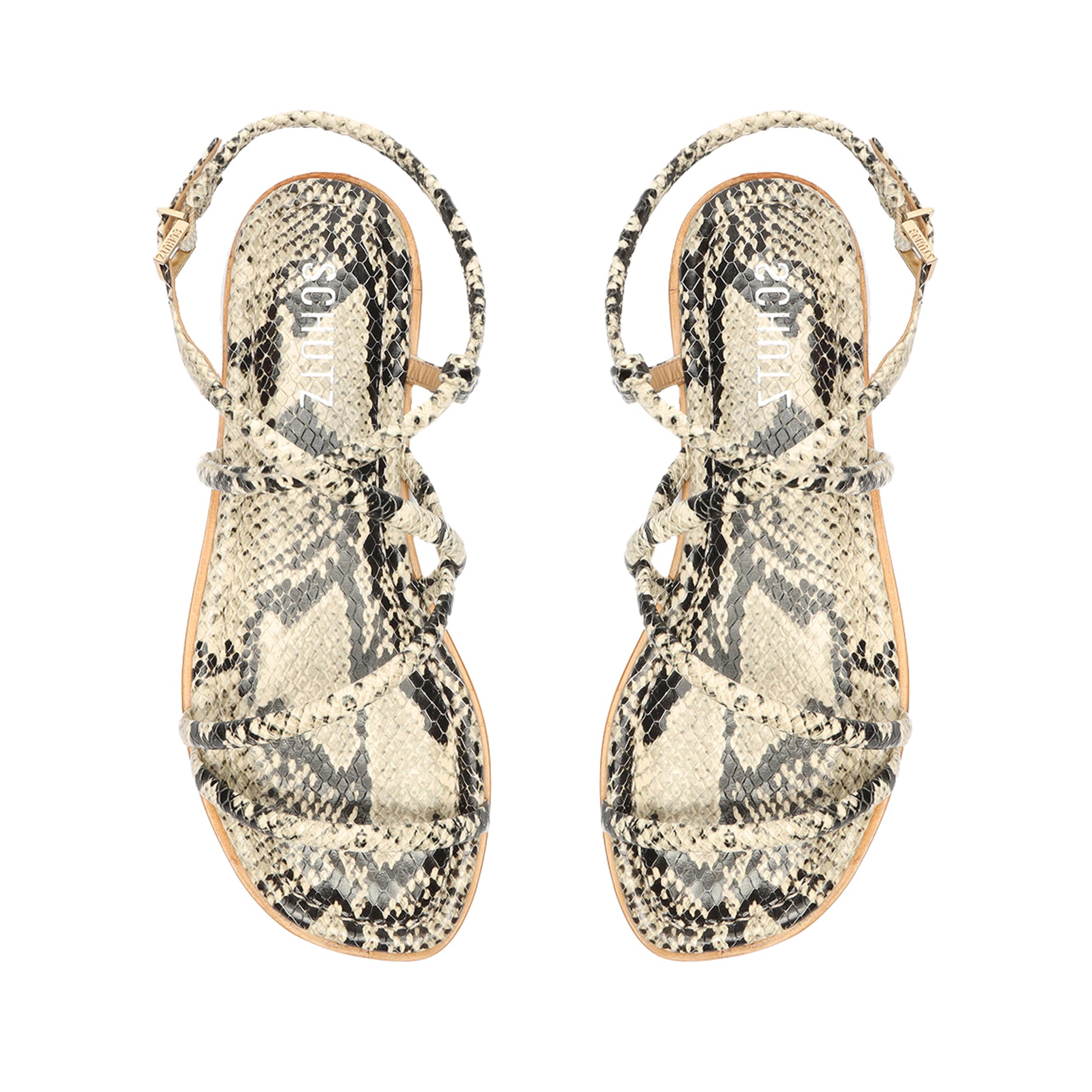 Lovi Snake-Embossed Leather Flat Flats OLD    - Schutz Shoes